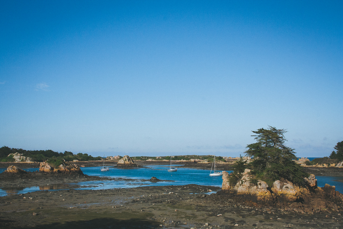 île-de-brehat-rocher-mer-arbre