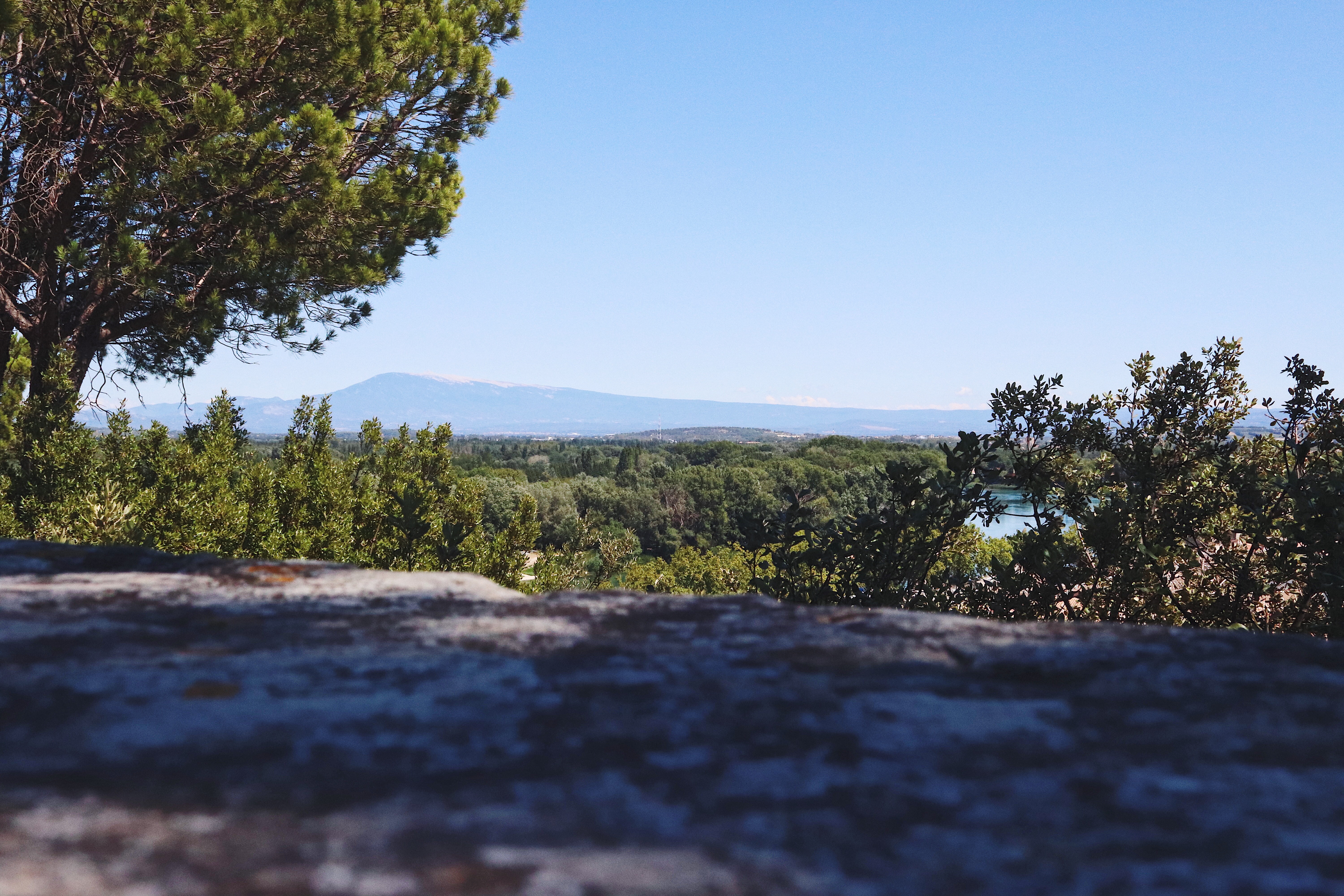 bonheur-aout-avignon